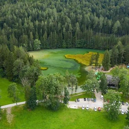 Grandpa's Mountain House - Happy *